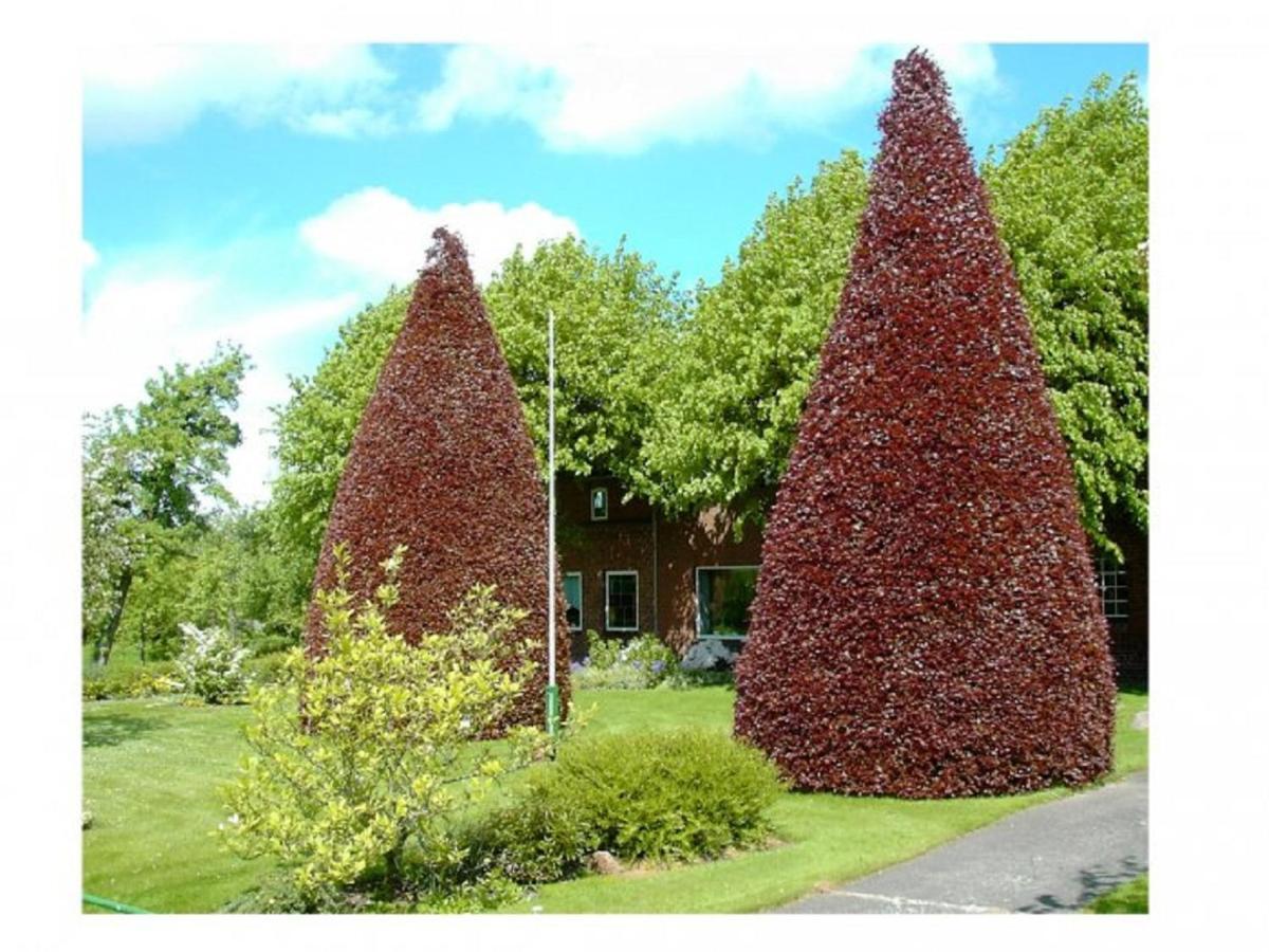 Blutbuchenhof Daire Erfde Dış mekan fotoğraf